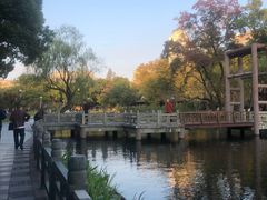 -月湖公园