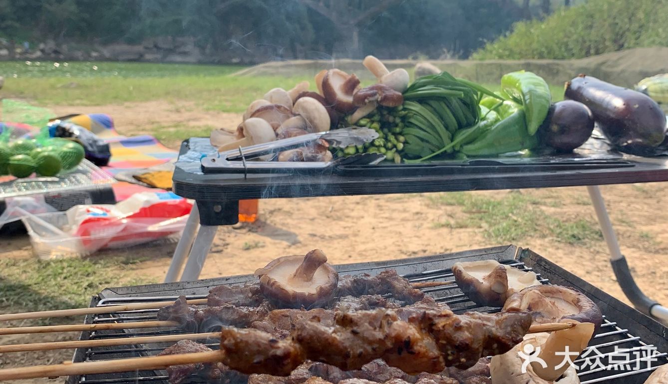 Camping Queen带我们来露营⛺️