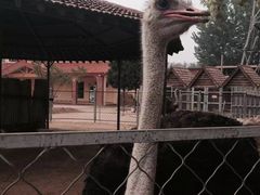 -意大利农场度假村