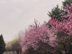 -北京奥林匹克公园