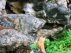 -承德避暑山庄景区