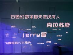 -永夜方舟·捉迷藏·二次元密室
