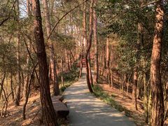 -仙岛湖旅游风景区