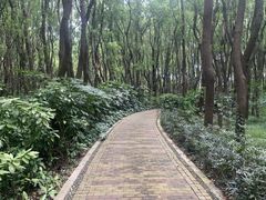 -同里国家湿地公园