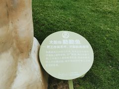 -太阳岛旅游度假区