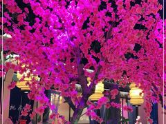 -今朝桃花醉川菜小酒馆(龙湖天街店)
