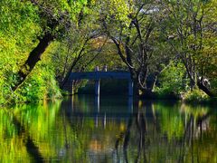 -西溪国家湿地公园