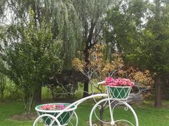 景点-立水桥公园