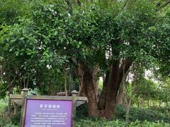 -韩湘水博园