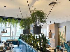 -三个椰子·现砍椰子鸡(金源CBD店)