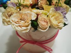 -5Cake五度无蔗糖低脂蛋糕(陶然亭店)