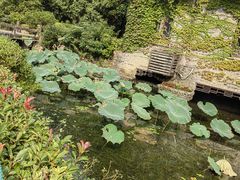 -韩湘水博园