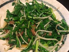 -日本料理神拉面