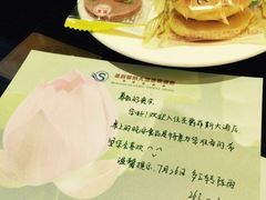 圣爵菲斯大酒店-圣爵菲斯大酒店(长沙世界之窗店)