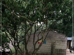 -满記土窑烧鷄波浪山莊