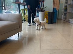 -瑞派申生动物医院·24H夜诊·国际动物医疗中心·骨外科(吴中路店)