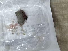 -北京观赏动物医院·24小时大型综合·猫专科·异宠专科