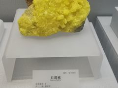 -湖南省地质博物馆