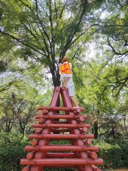 -酷酷兔少儿拓展天地
