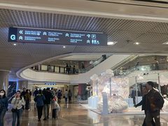 -海港城