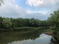 -贡湖湾湿地公园
