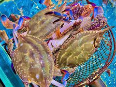 -好兄弟郭巨海鲜(天一阁店)