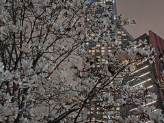 -人民广场