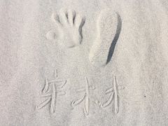 -金塔沙漠胡杨林景区