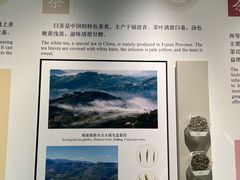 -中国茶叶博物馆(双峰馆区)