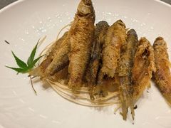 -紫阳富豪大酒店(惠南店)