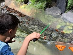 -正佳雨林生态植物园