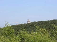 -原山国家森林公园