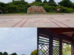 -塘沽森林公园