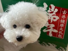 -哈尔滨饺子王·东北菜(鱼鳞浃路店)