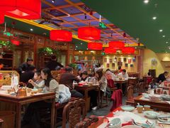 -小吊梨汤·北京菜·烤鸭(鸟巢店)