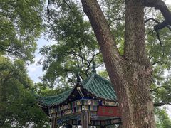 -古琴台