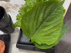 -啊美丽炭火烤肉(滑翔一店)