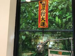 -无牌咖啡&酒馆