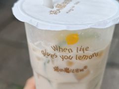 -猫的魔法密林(衣裳街店)