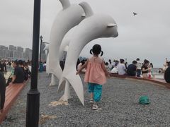 -小麦岛公园