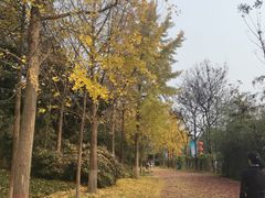 -城市运动公园(未央区)