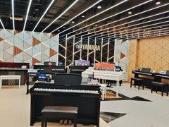 -雅马哈乐器专卖店(广州旗舰店)