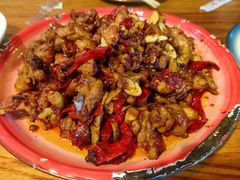 -柴窝堡22号辣子鸡·传承新疆菜