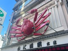 -蟹道乐(道顿堀本店)
