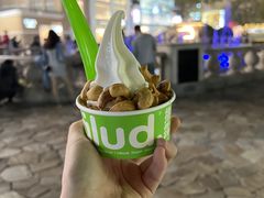 -Salud撒露欧洲冻酸奶(蓝色港湾店)