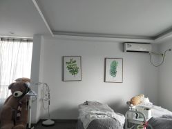 -莱恩·乐活概念专业皮肤管理连锁