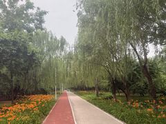 -绿堤公园