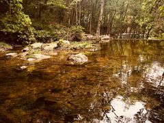 -燕子河大峡谷天坑仙境