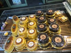 -多乐之日(富力城店)