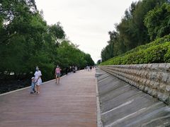 -宝安西湾红树林湿地公园